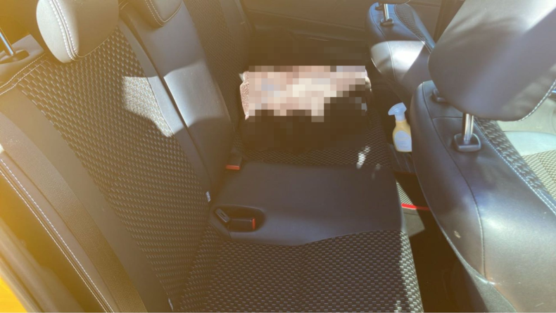 内装後方シート