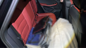 内装後方シート