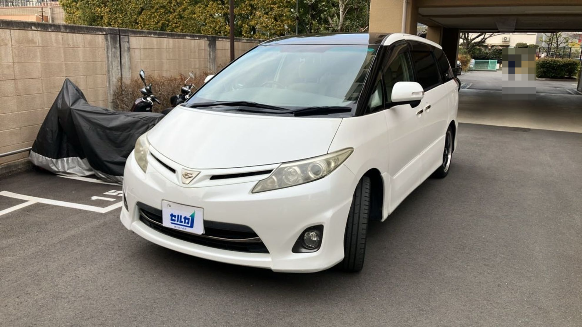 トヨタ エスティマの売買実績画像