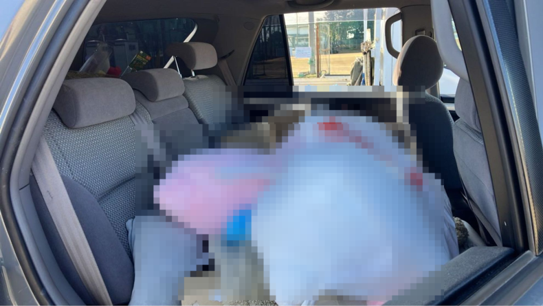 内装後方シート