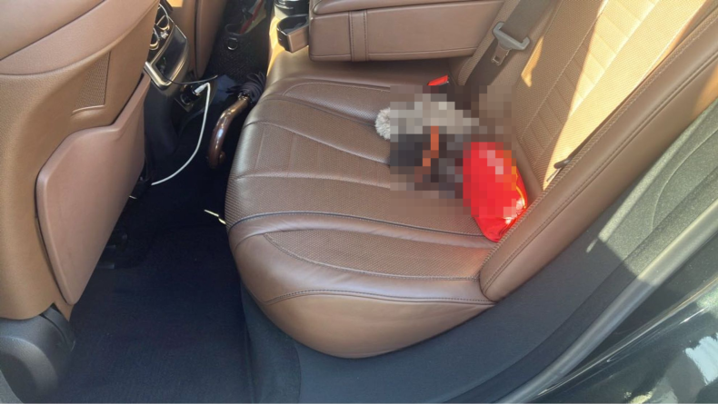 内装後方シート