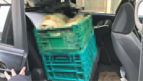 内装後方シート