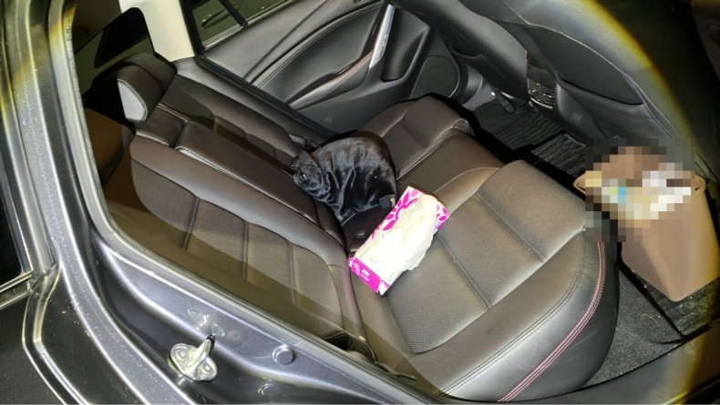 内装後方シート