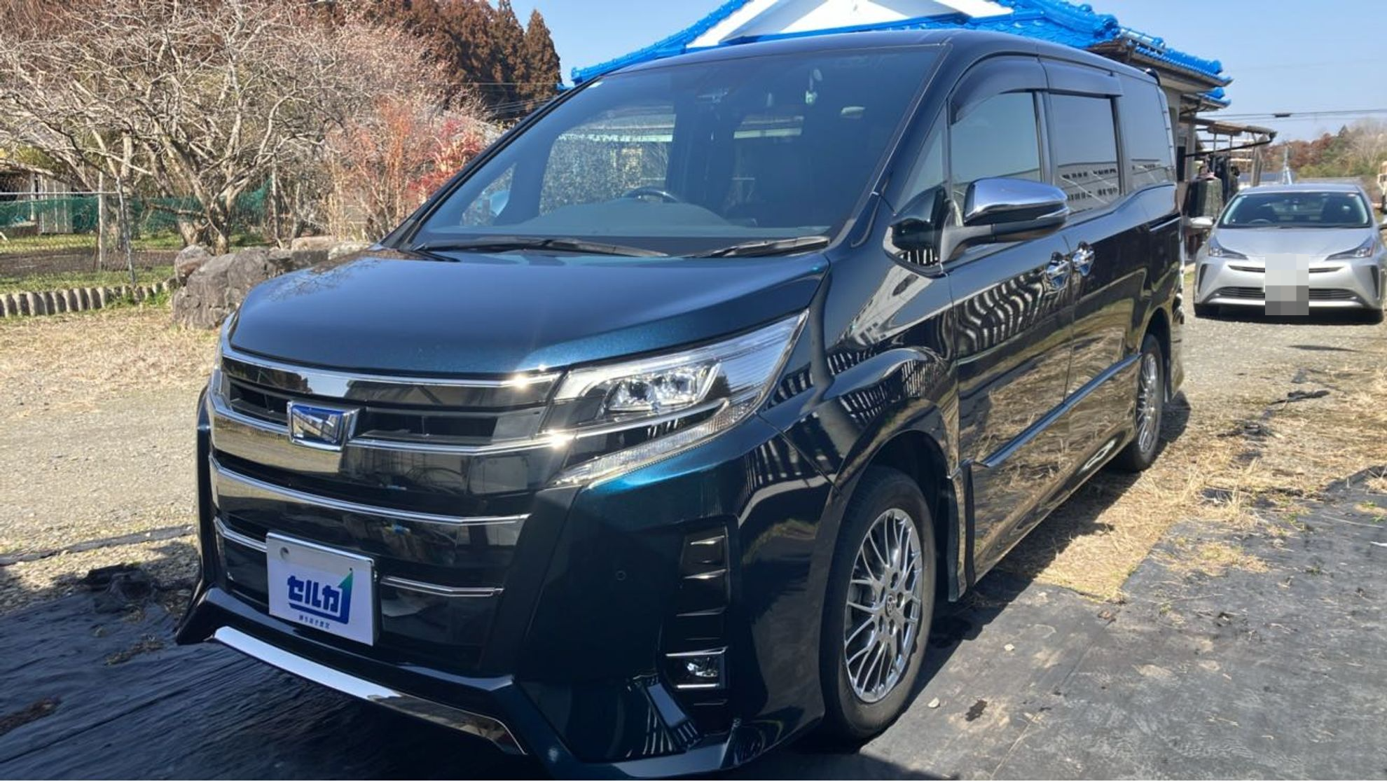 トヨタ ノアの売買実績画像