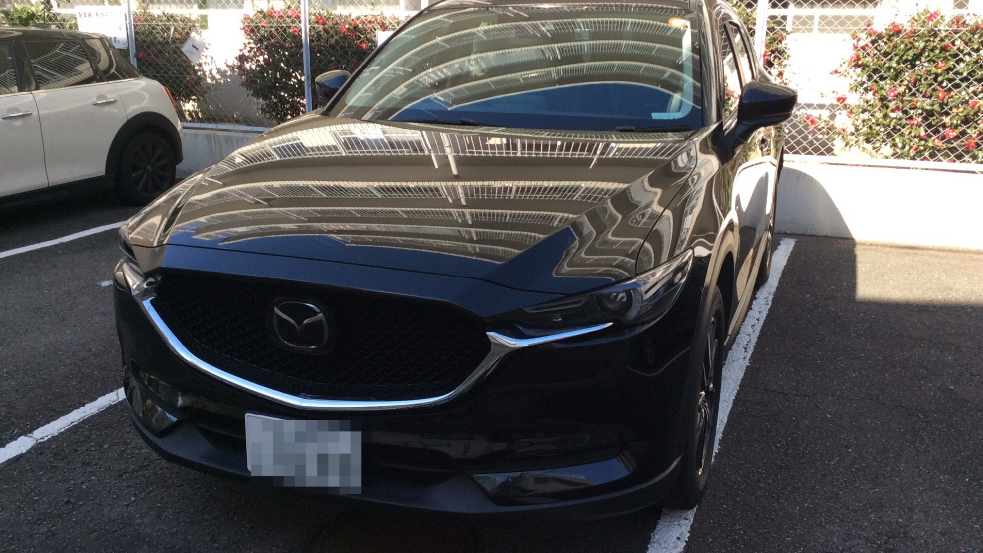 マツダ ＣＸ－５の売買実績画像