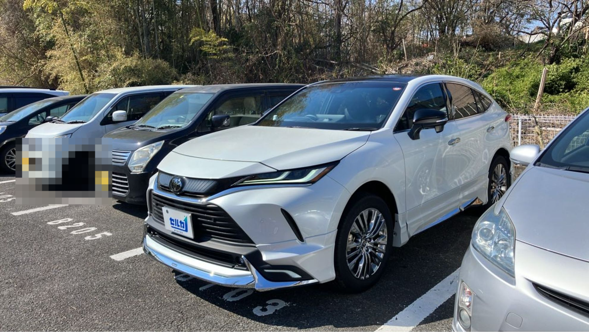 トヨタ ハリアーの売買実績画像