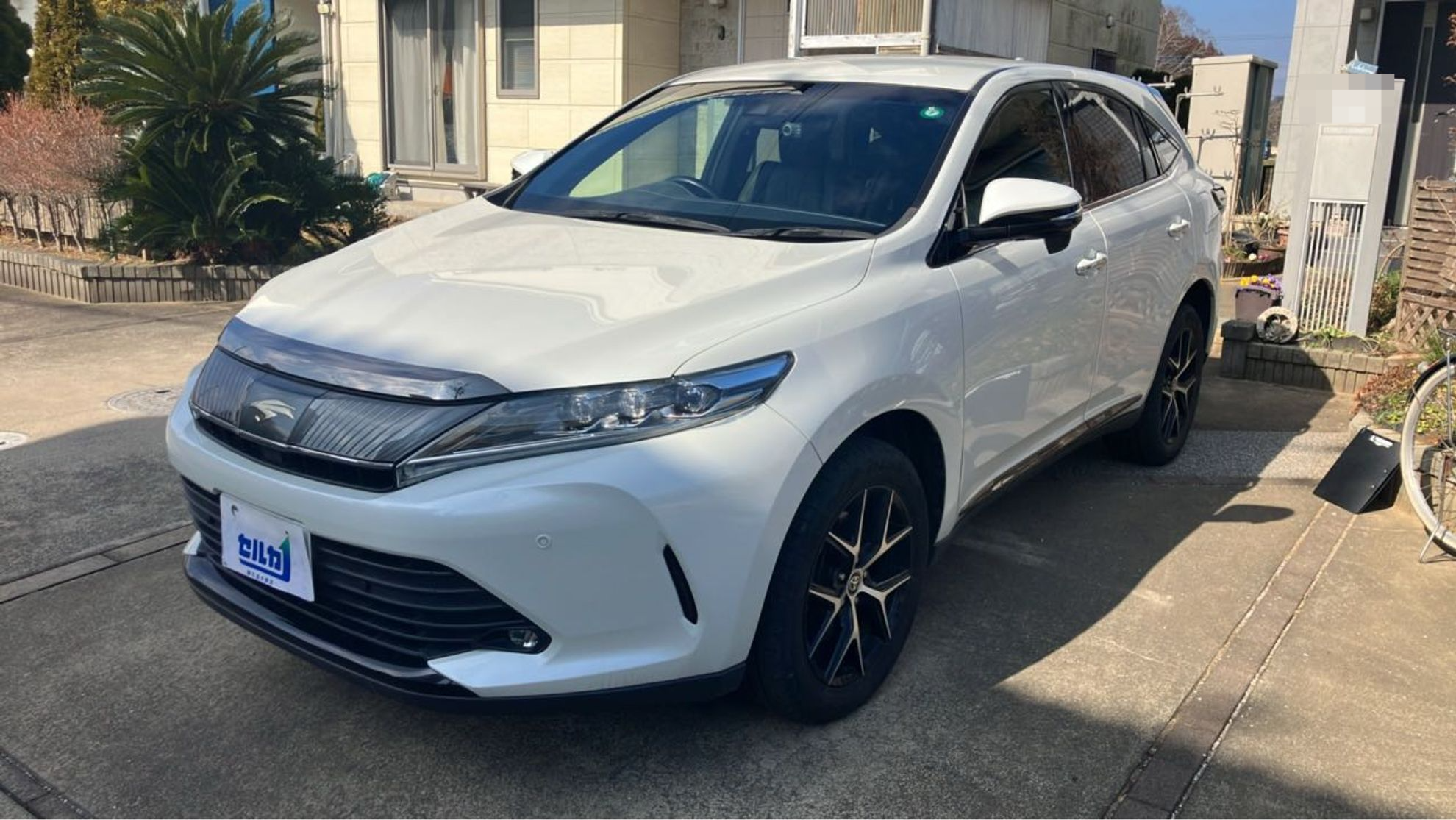 トヨタ ハリアーの売買実績画像