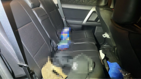 内装後方シート