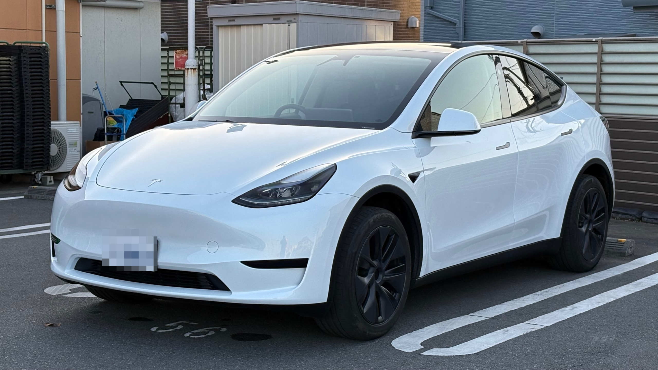 テスラ モデルＹの売買実績画像