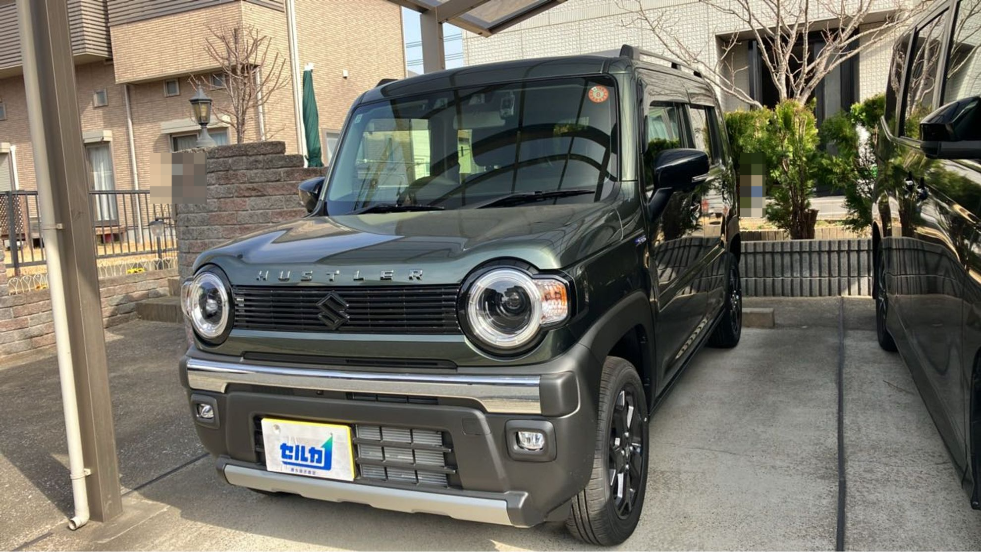 スズキ ハスラーの売買実績画像