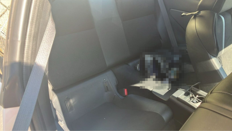 内装後方シート