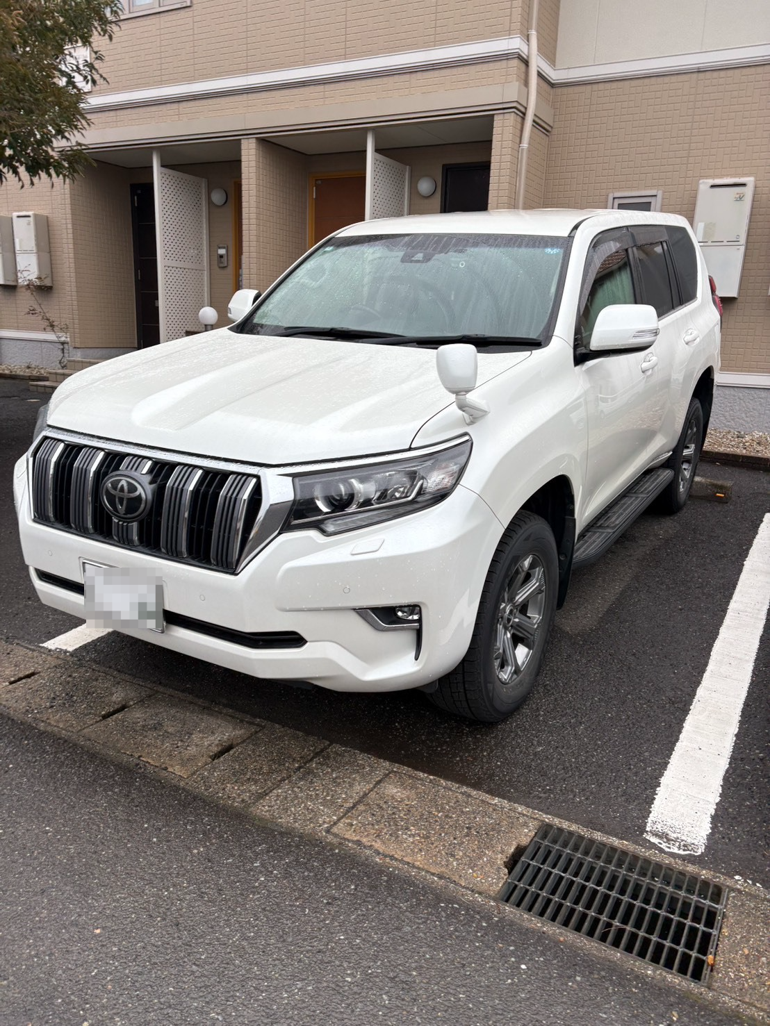 トヨタ ランドクルーザープラドの売買実績画像