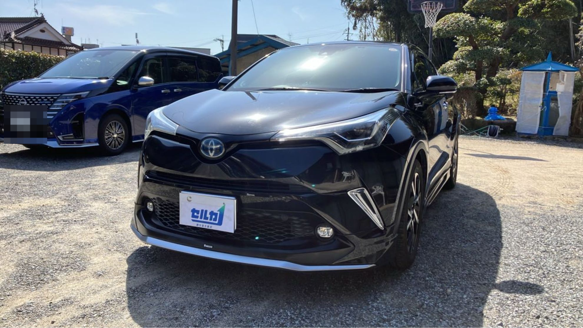 トヨタ Ｃ－ＨＲの売買実績画像