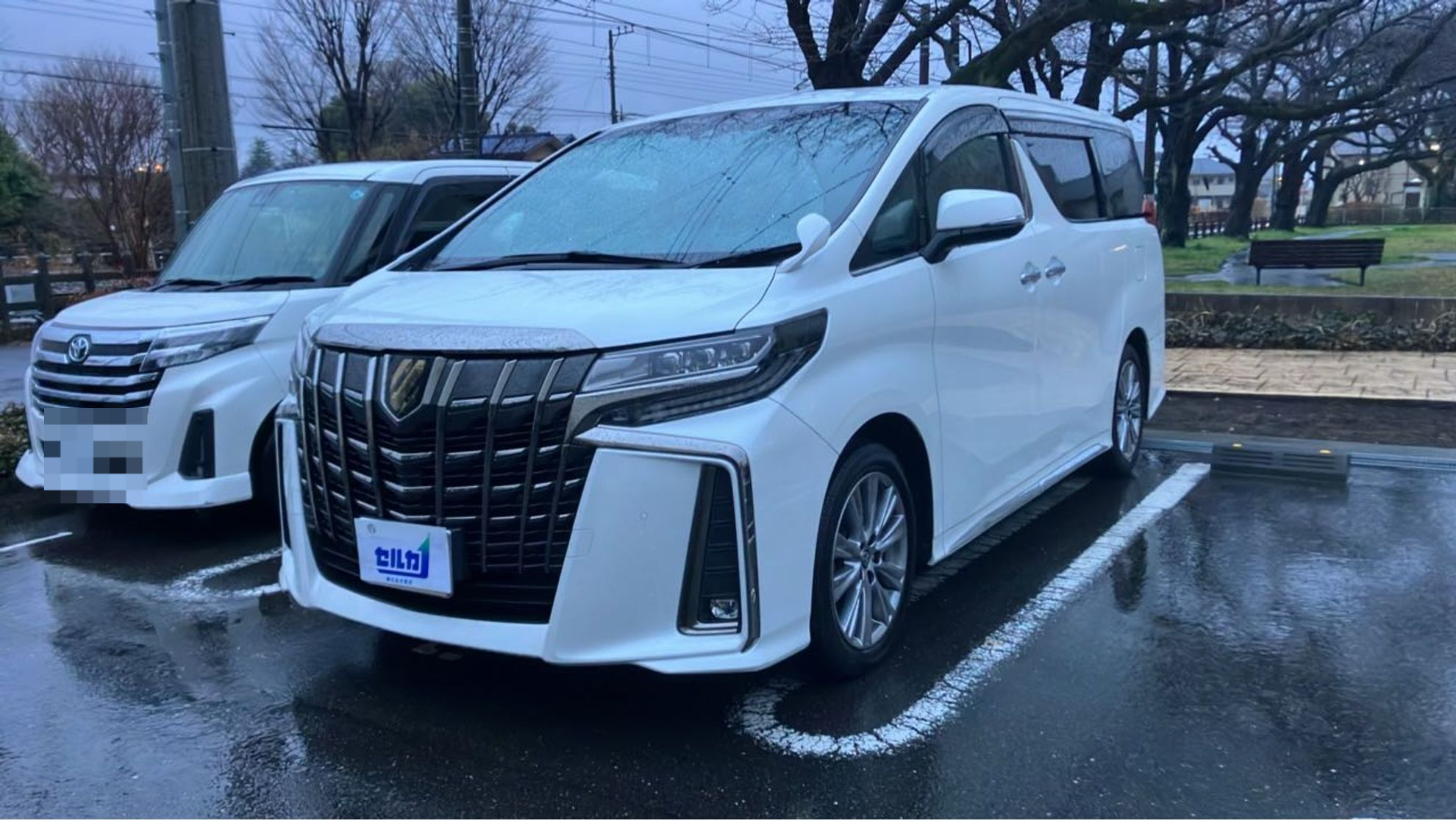 トヨタ アルファードの売買実績画像