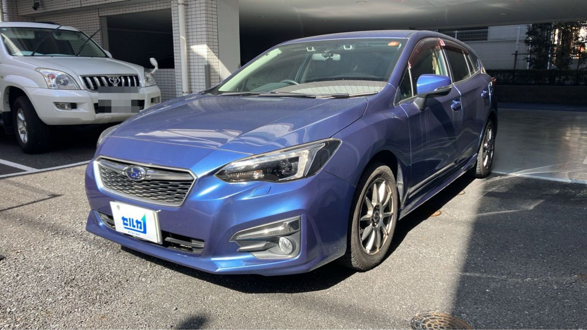 スバル インプレッサスポーツの売買実績画像