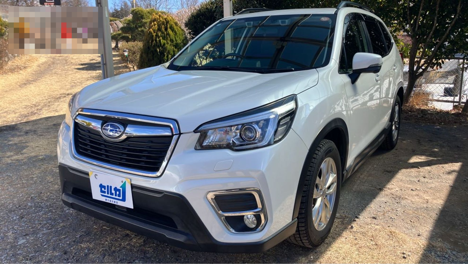 スバル フォレスターの売買実績画像