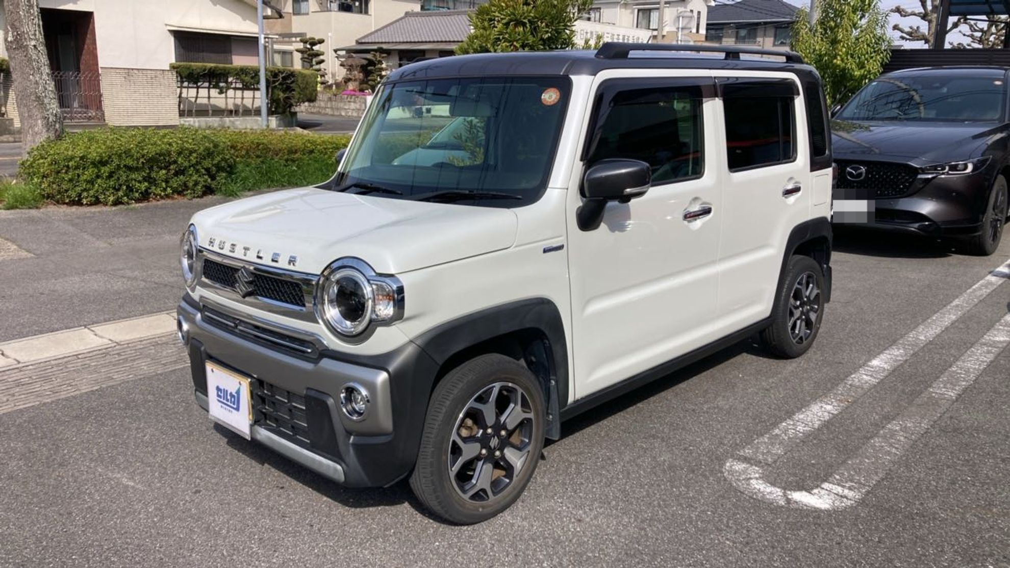 スズキ ハスラーの売買実績画像