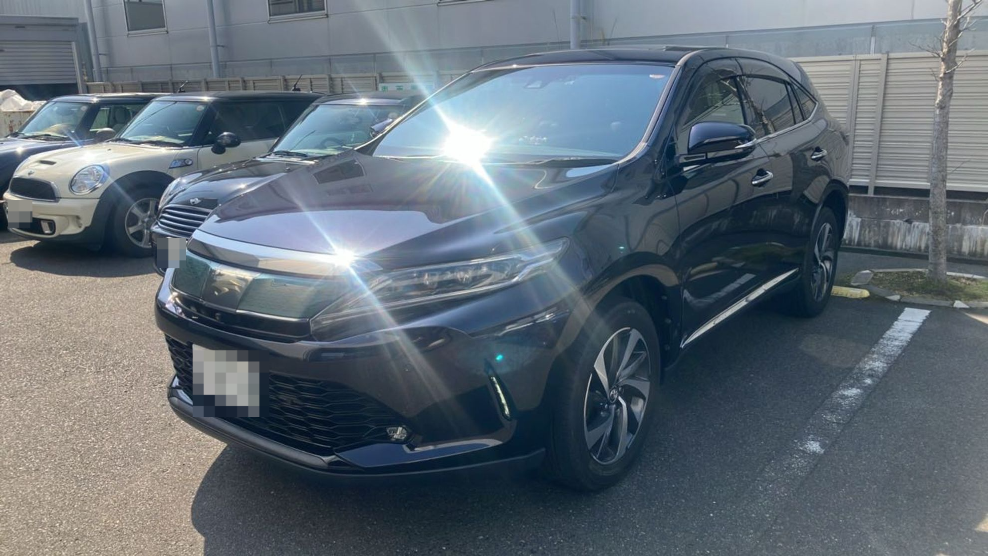 トヨタ ハリアーの売買実績画像