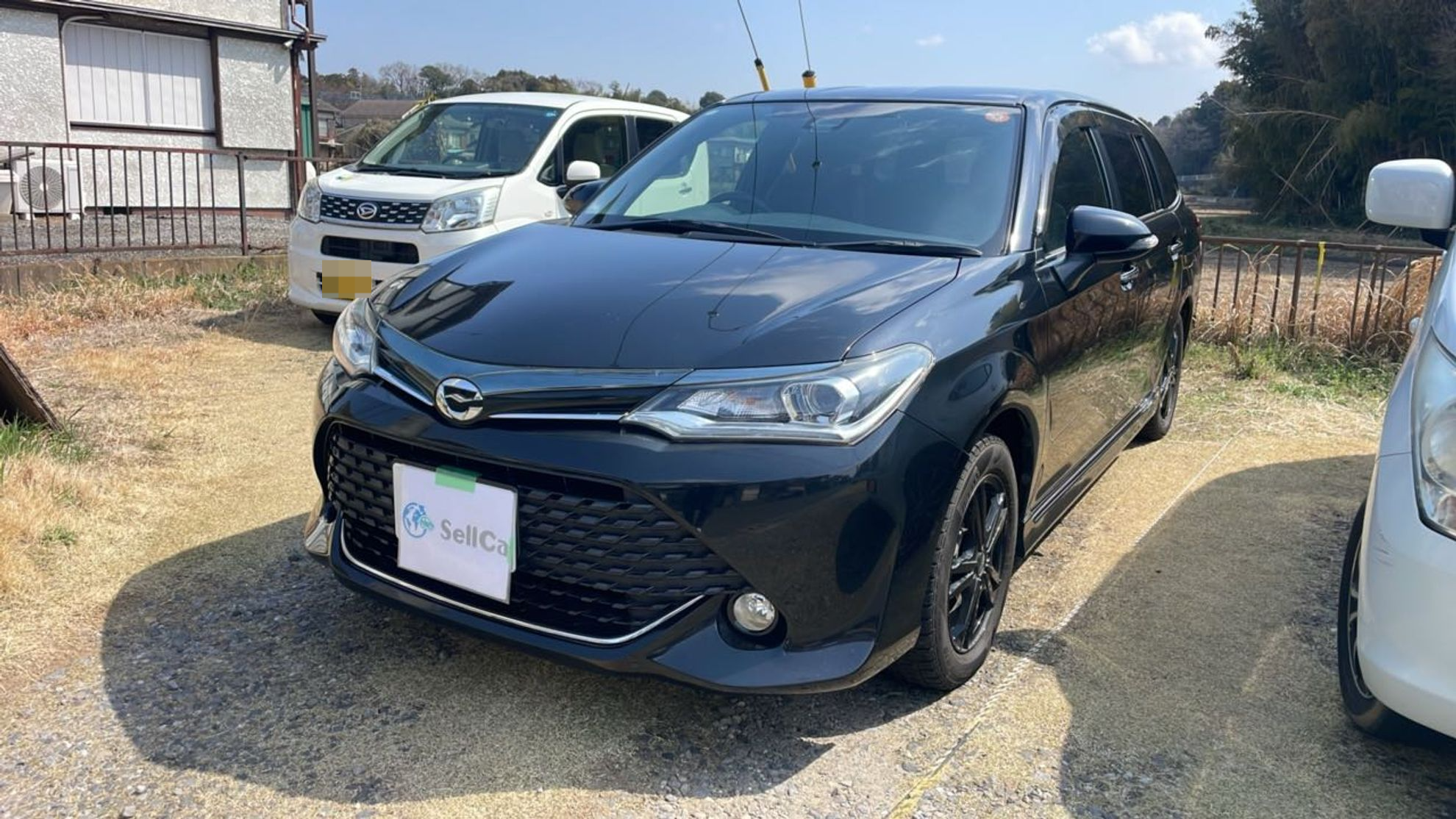 トヨタ カローラフィールダーの売買実績画像