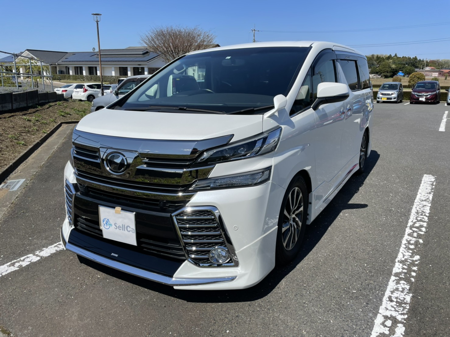 トヨタ ヴェルファイアの売買実績画像