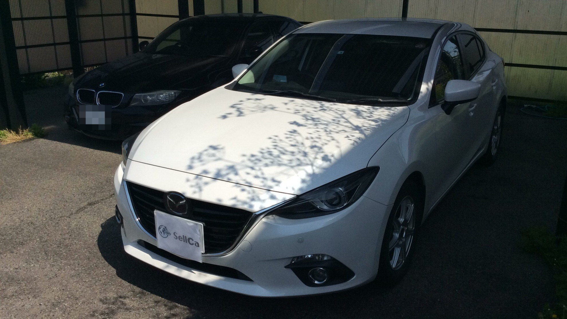 アクセラの中古車買取相場と 高く買取してもらうコツ Sellcaの中古車査定