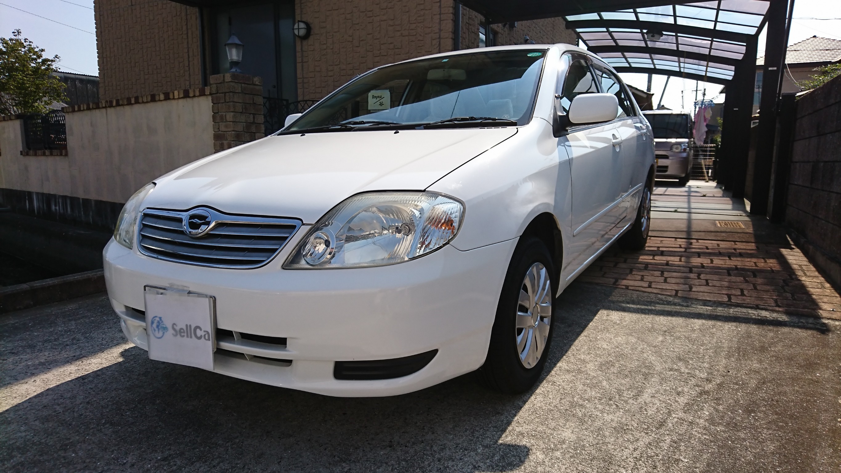 トヨタ カローラの売買実績画像