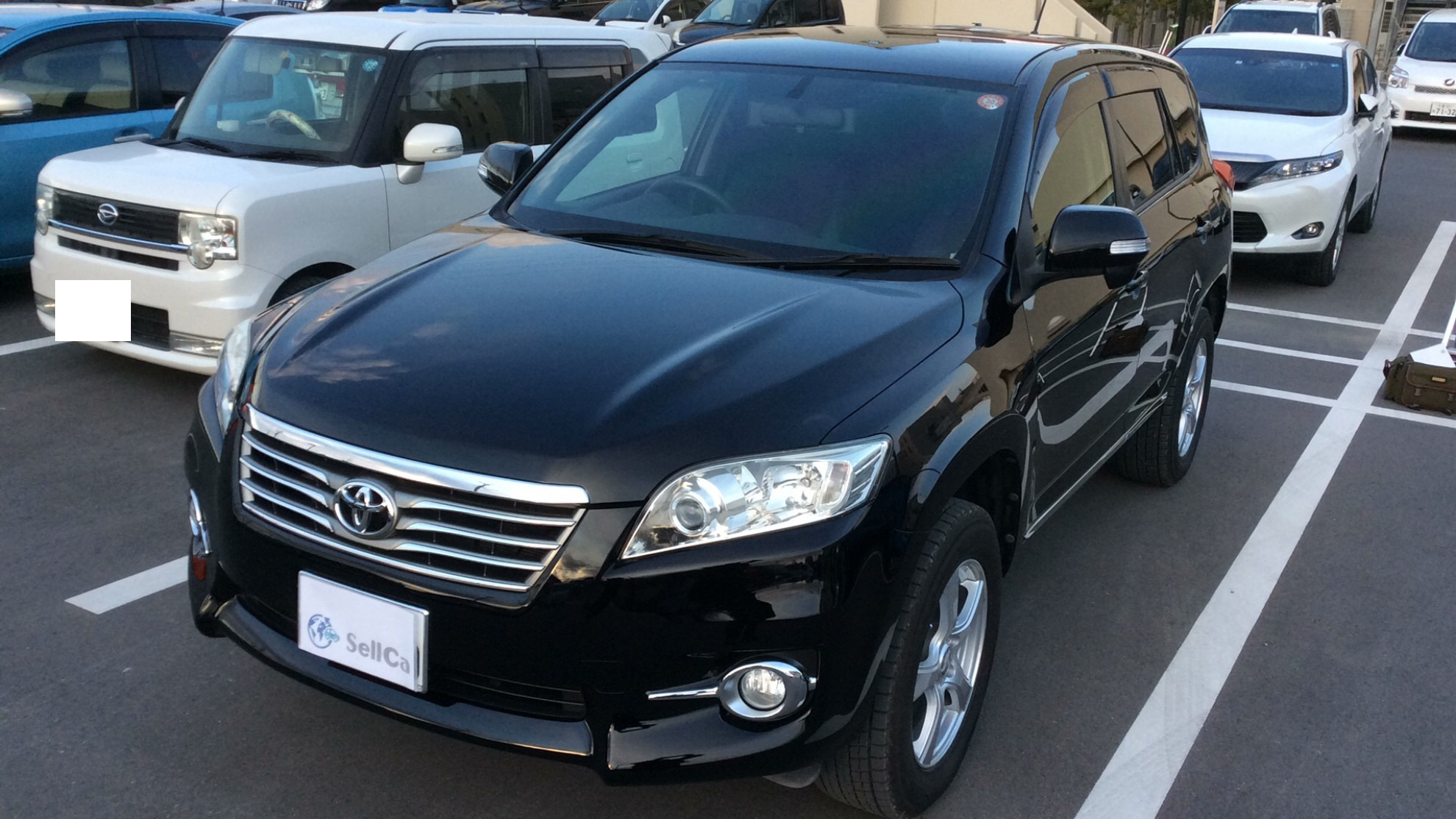 トヨタ ヴァンガードの売買実績画像