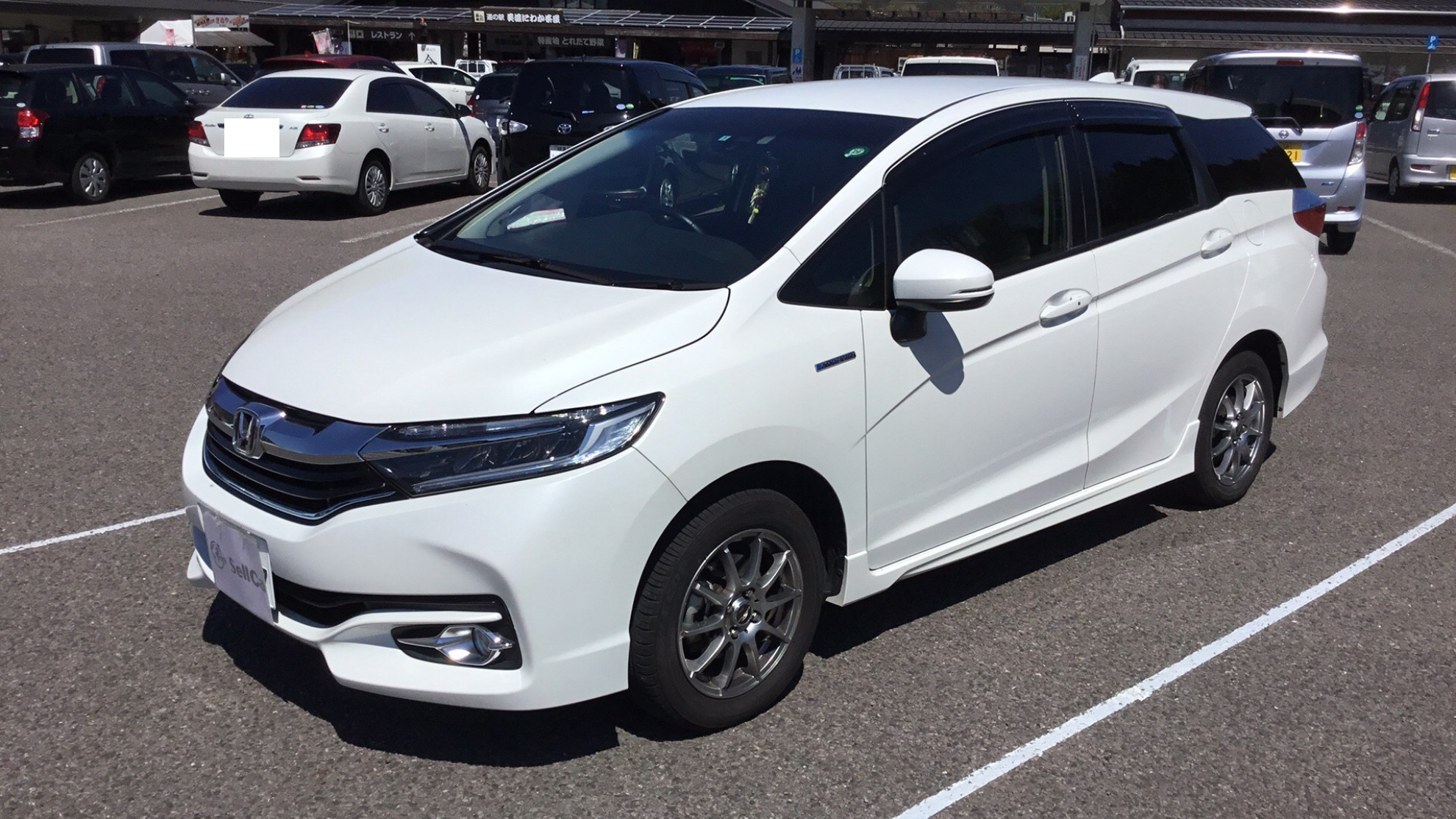 ホンダ シャトルの売買実績画像