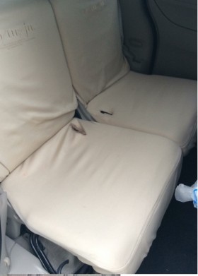 内装後方シート