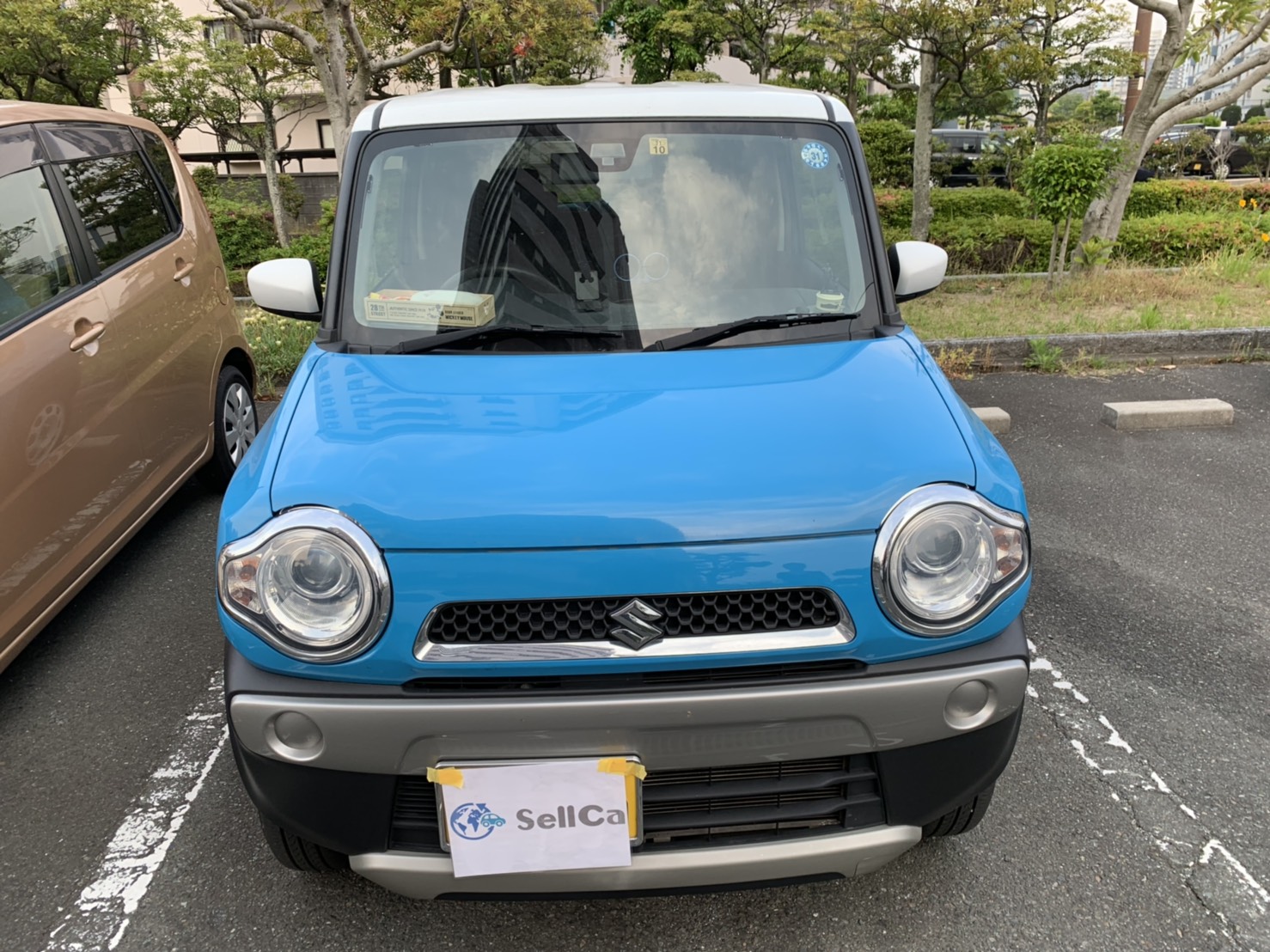 外装前方