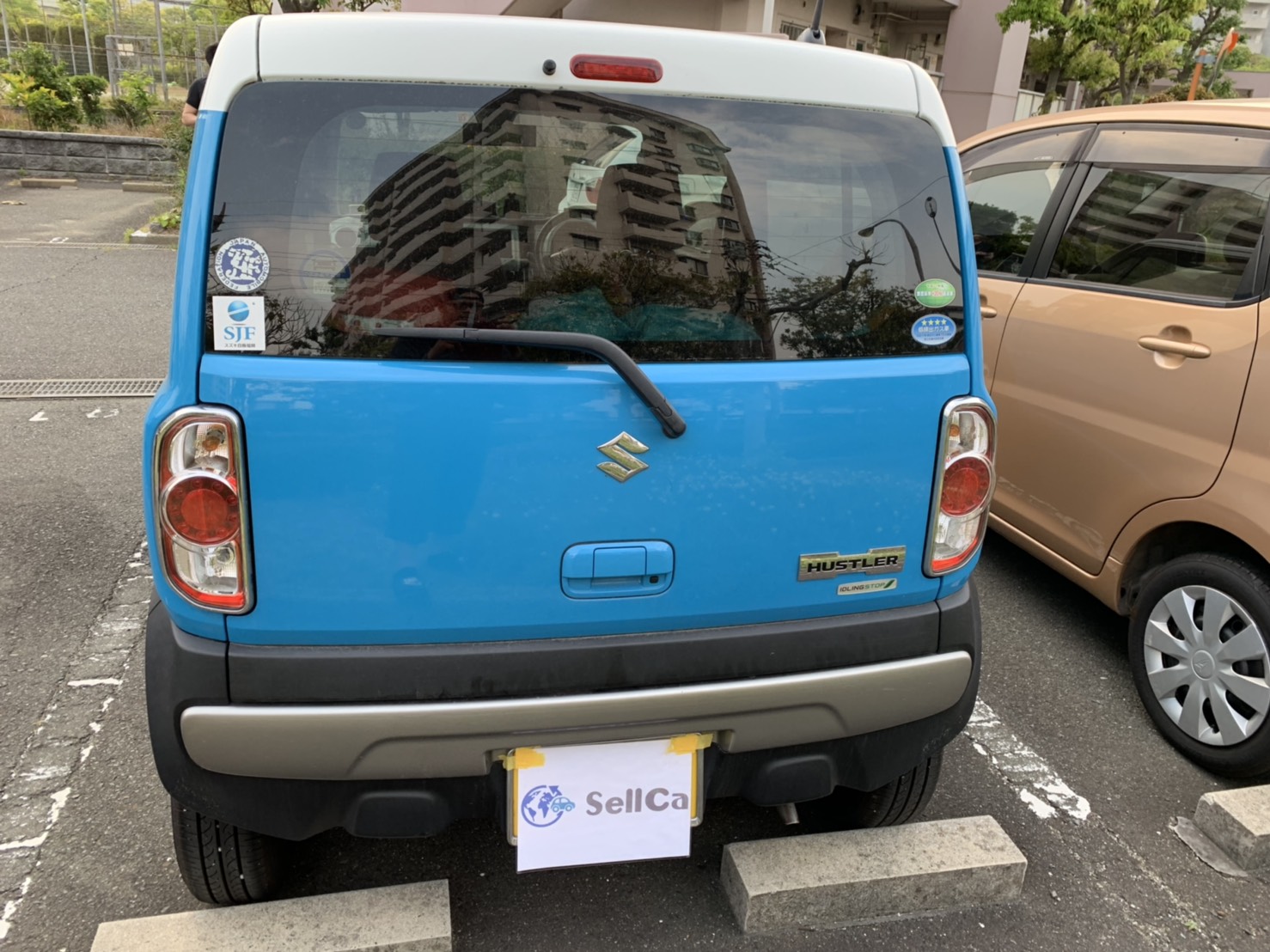 外装後方