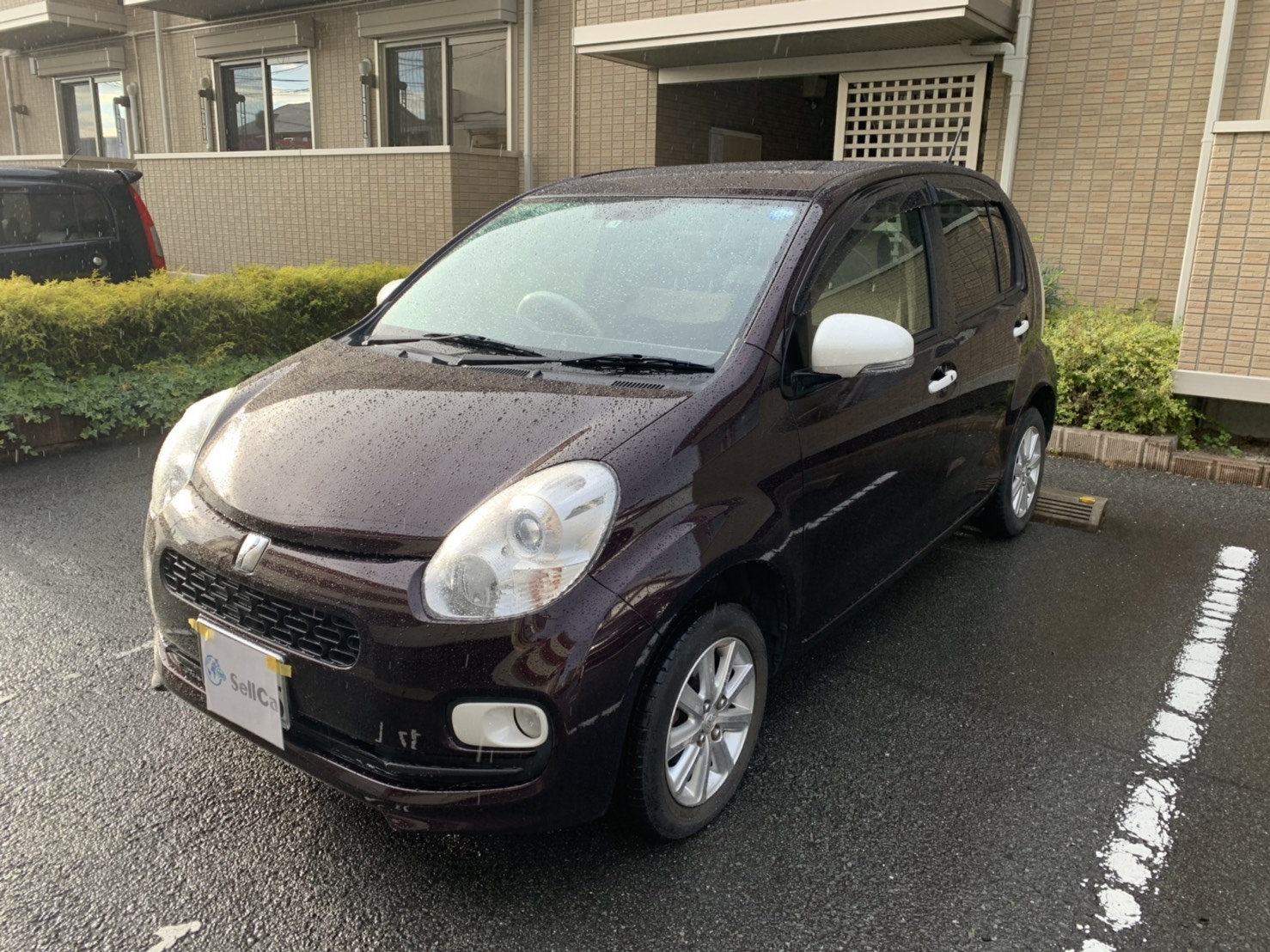 トヨタ パッソの売買実績画像