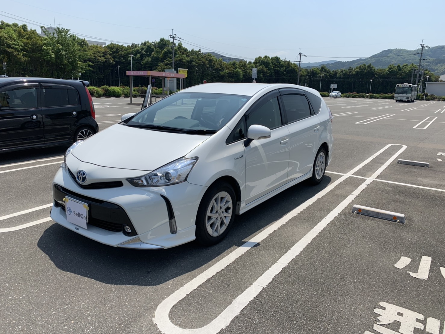 トヨタ プリウスαの売買実績画像