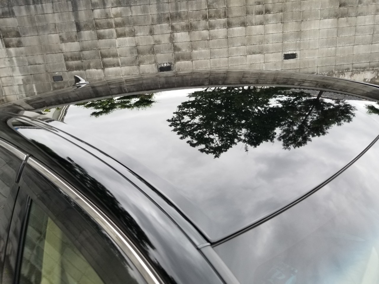 正面ルーフ