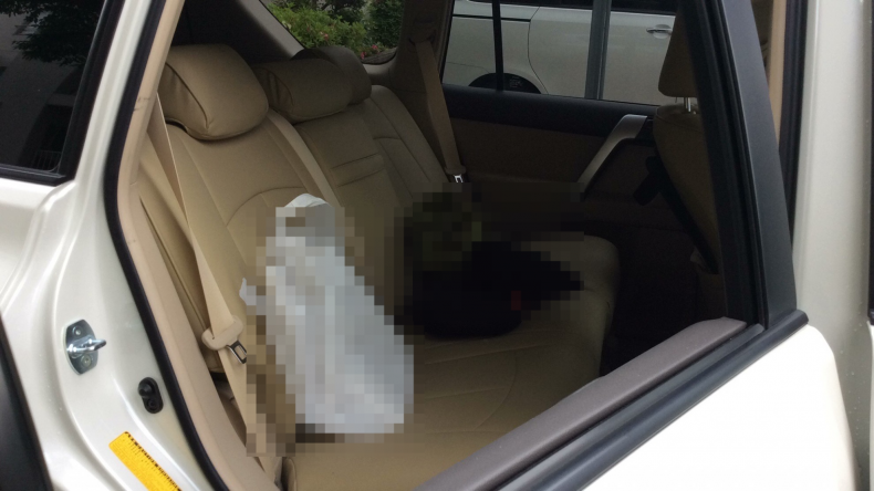 内装後方シート