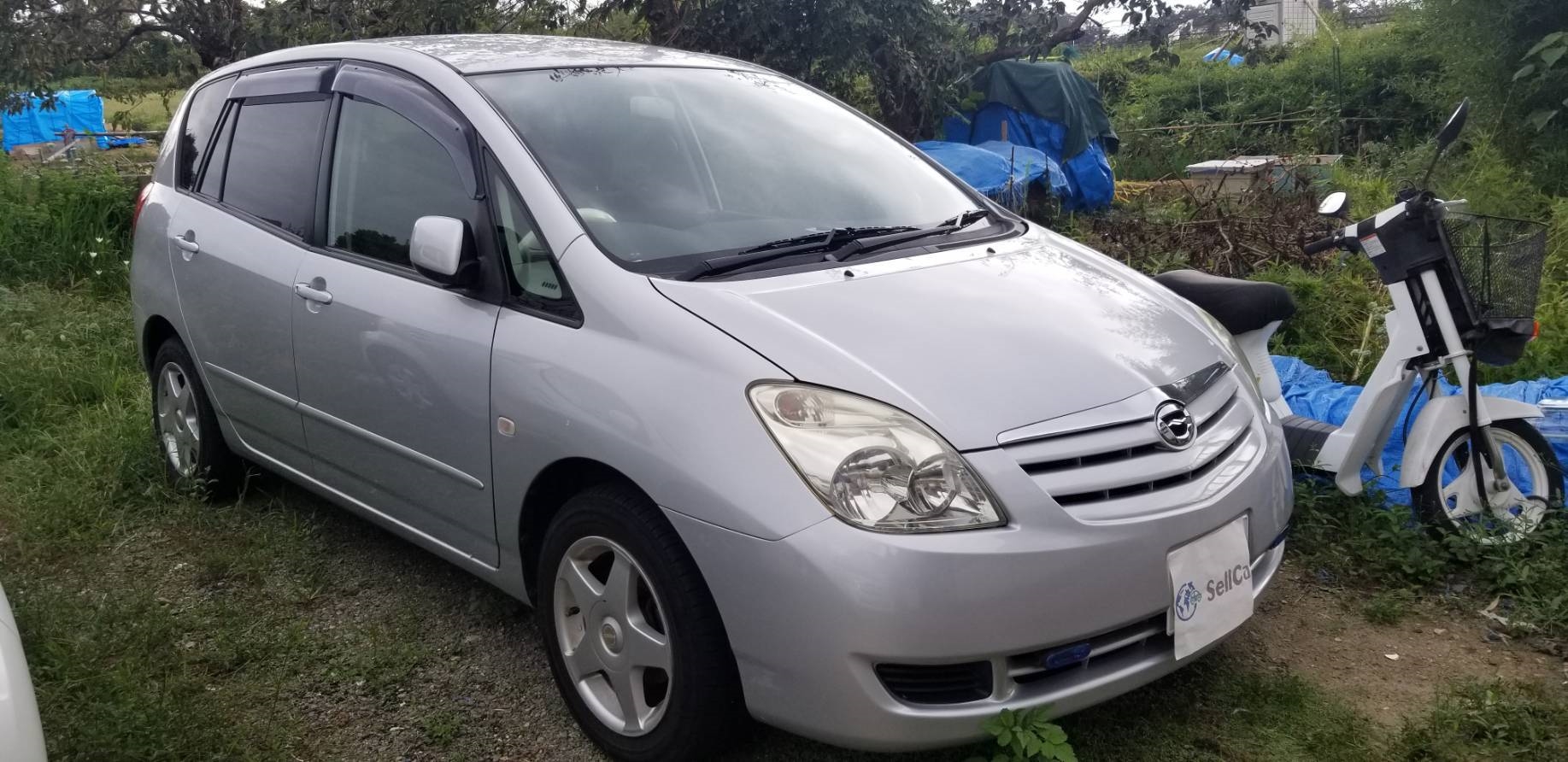 トヨタ カローラスパシオの売買実績画像