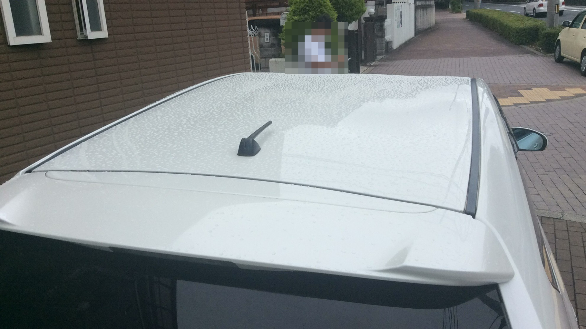 正面ルーフ