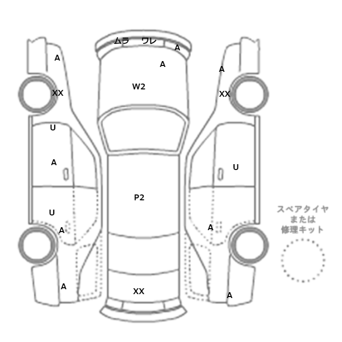 展開図画像