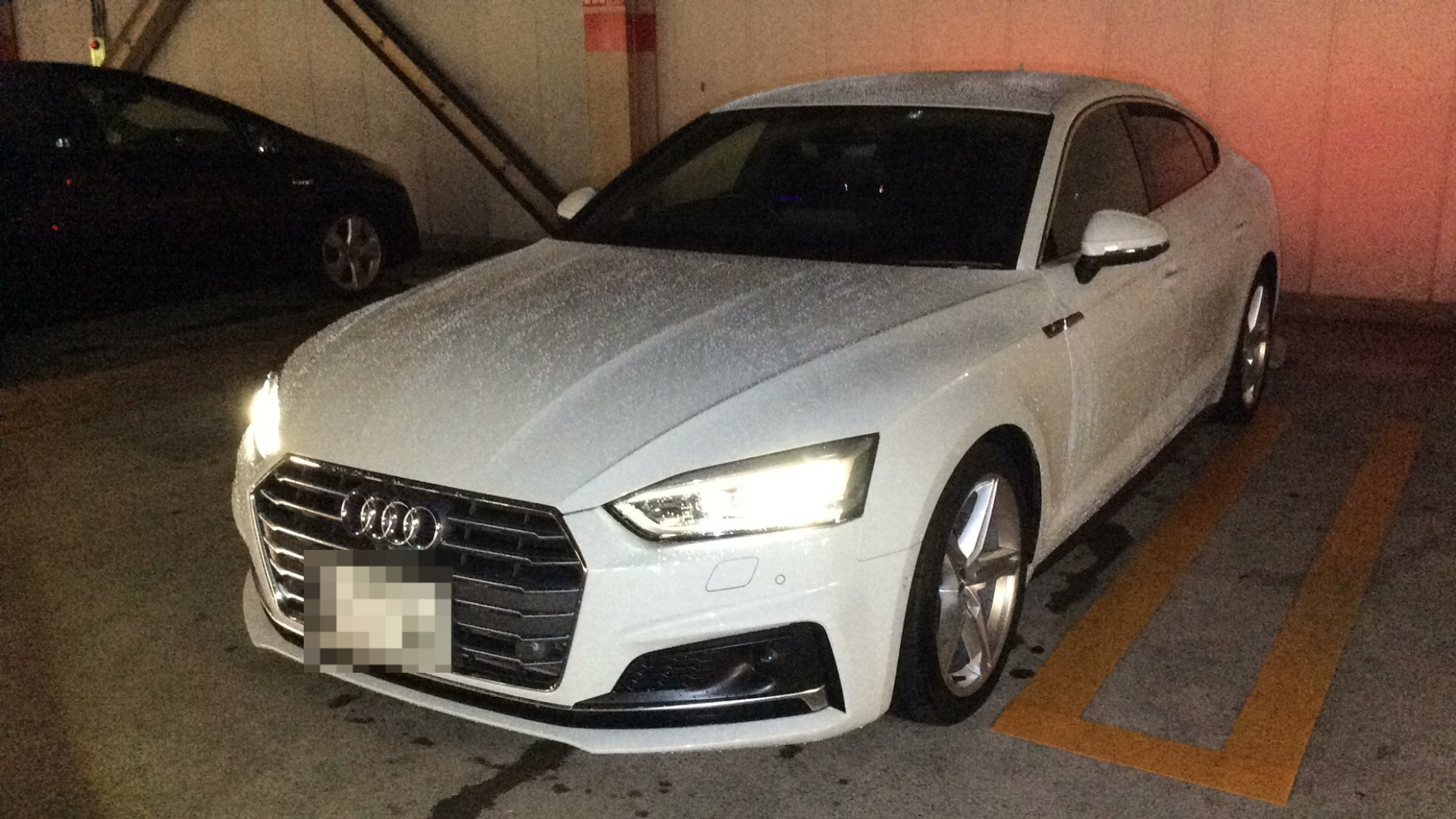 アウディ Ａ５スポーツバックの売買実績画像