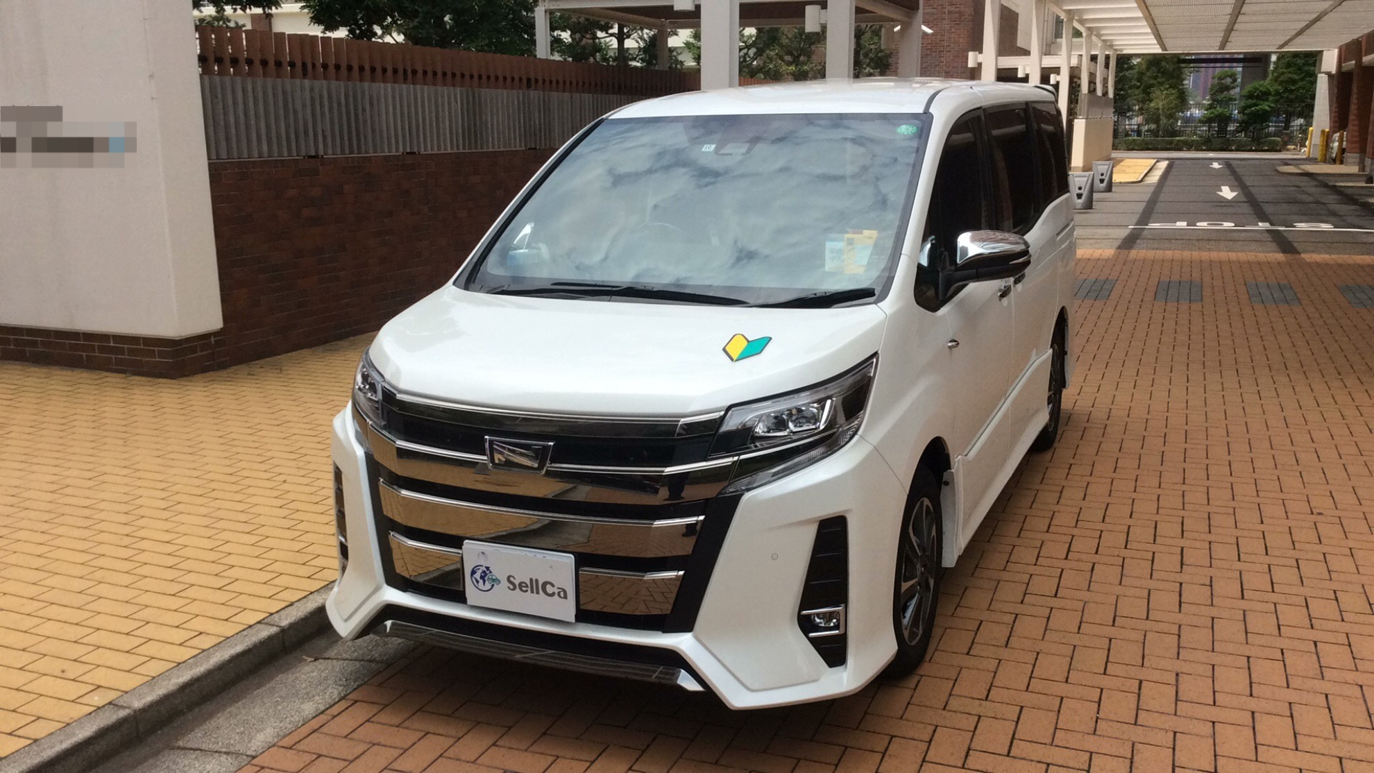 トヨタ ノアの売買実績画像