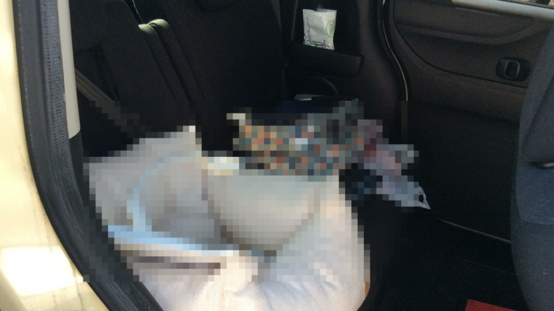 内装後方シート