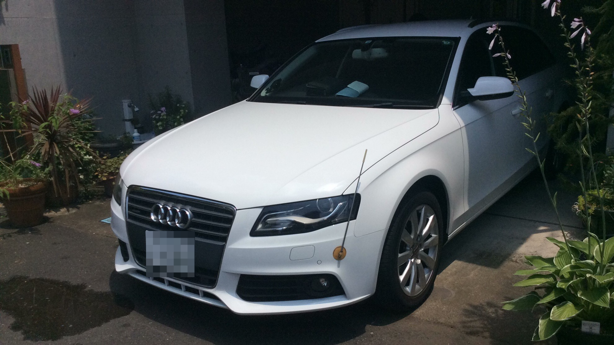 アウディ Ａ４アバントの売買実績画像