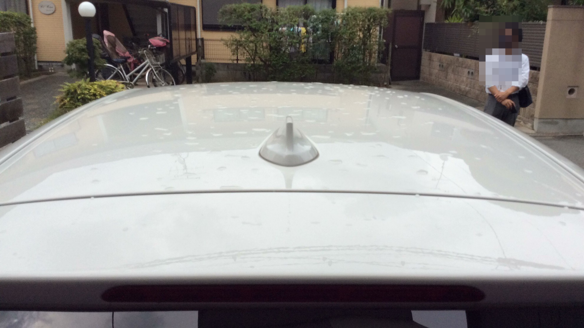 正面ルーフ