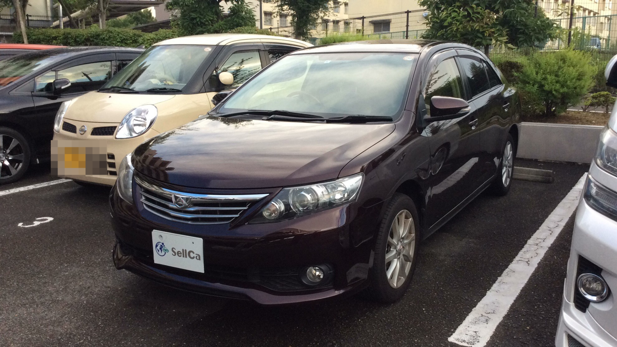 トヨタ アリオンの売買実績画像