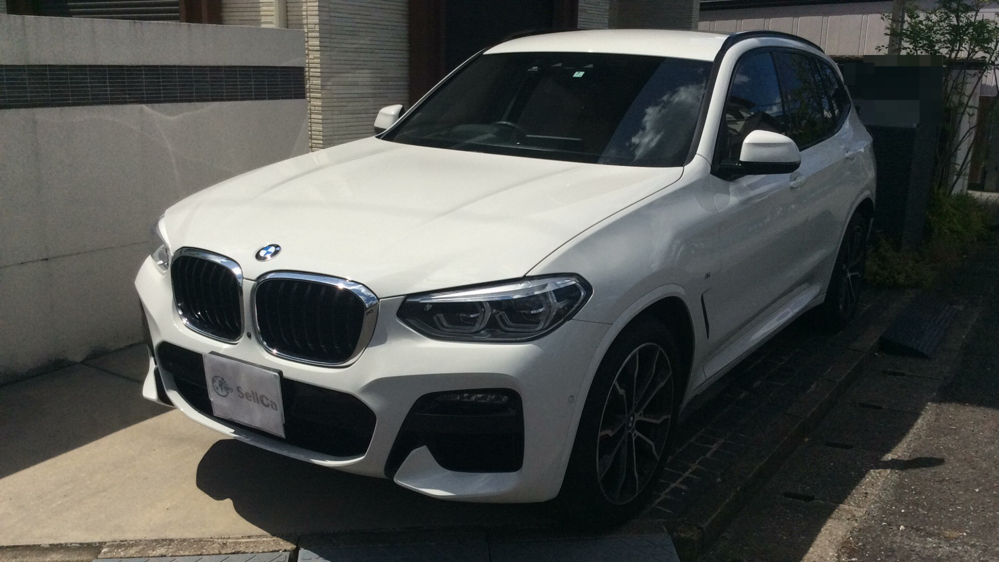 ＢＭＷ Ｘ３の売買実績画像