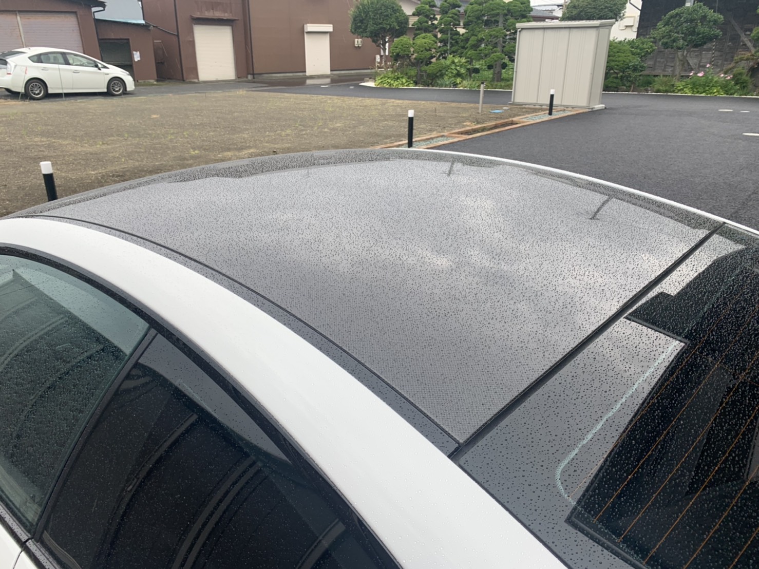 正面ルーフ