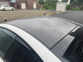正面ルーフ