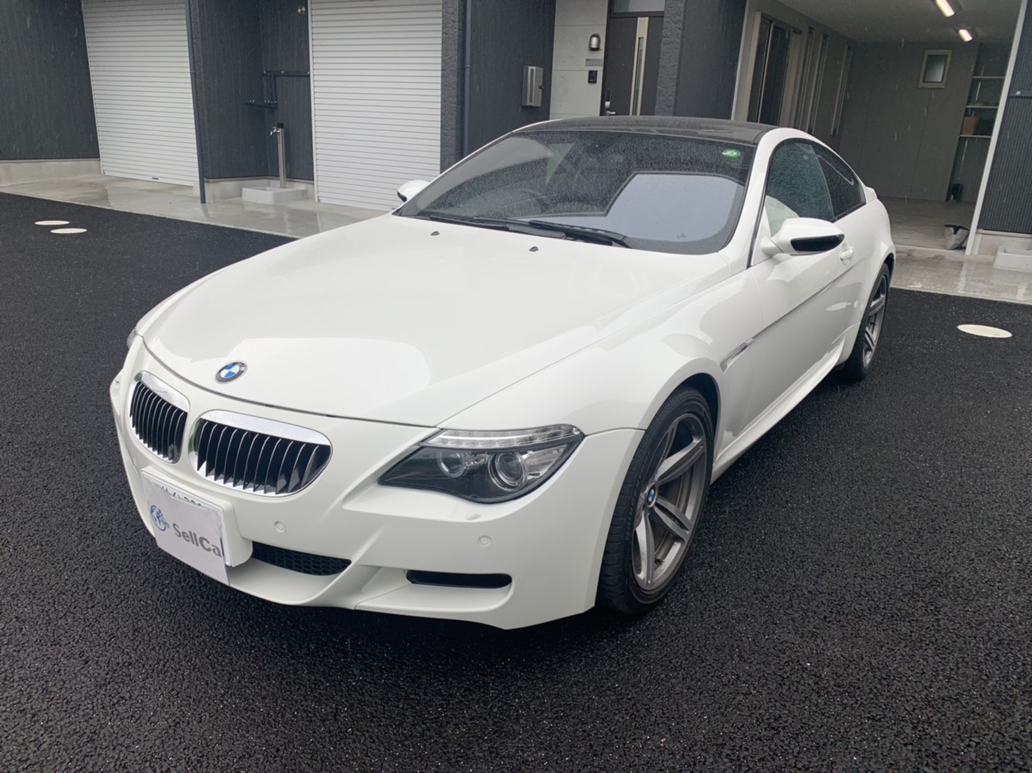 ＢＭＷ Ｍ６の売買実績画像