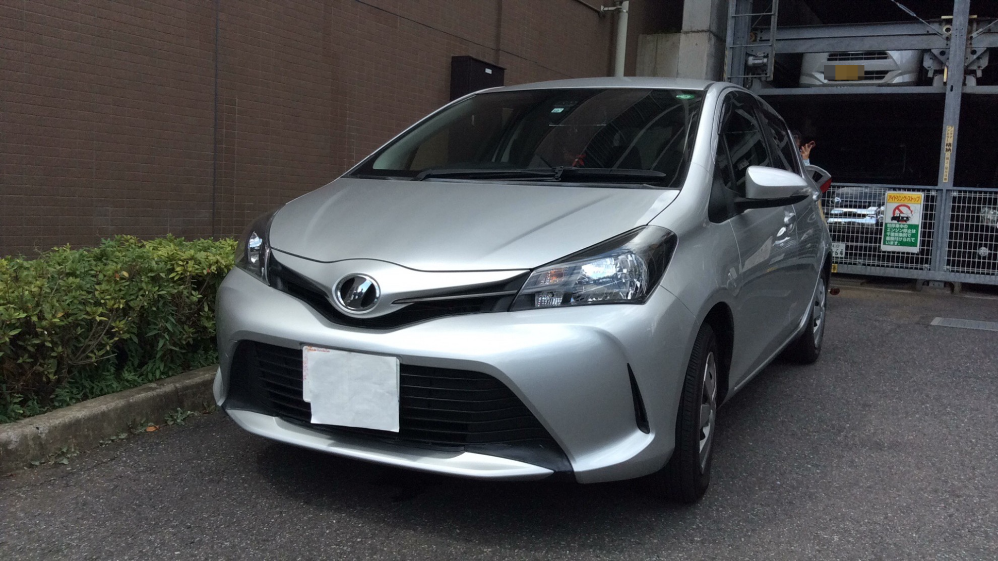 トヨタ ヴィッツの売買実績画像