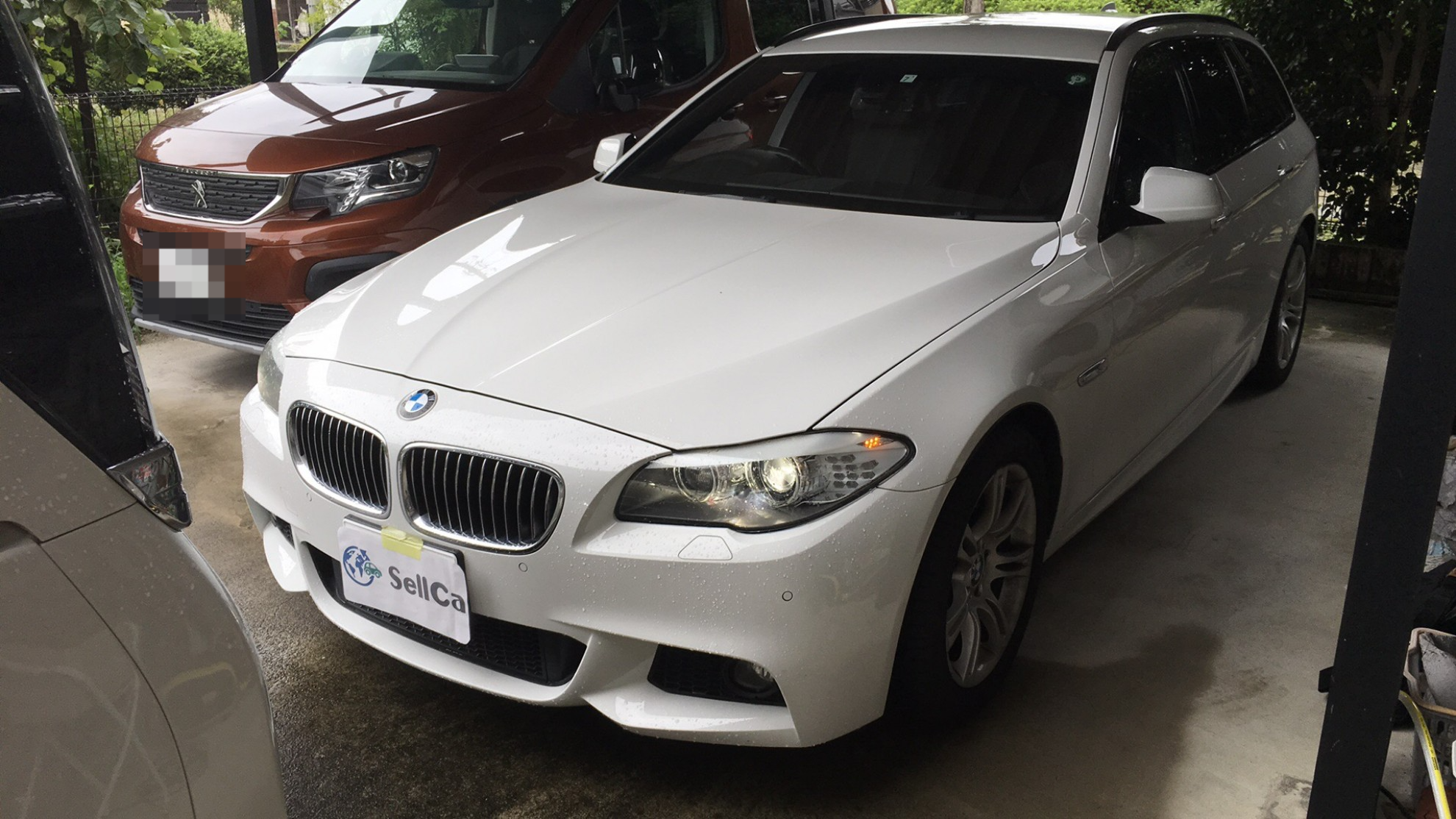ＢＭＷ ５シリーズの売買実績画像